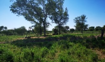 Campo Ganadero en Los Acosta