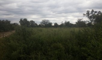 Campo Ganadero en La Blanca