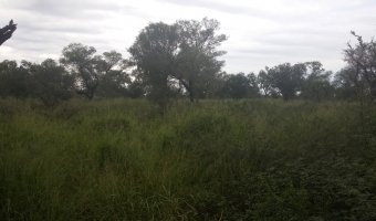 Campo Ganadero en La Blanca