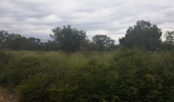 Campo Ganadero en La Blanca