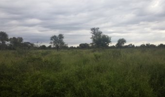 Campo Ganadero en La Blanca