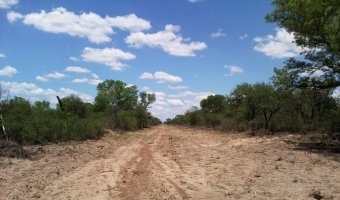 Campo Ganadero en La Blanca