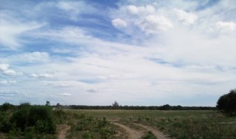 Campo Ganadero en La Blanca