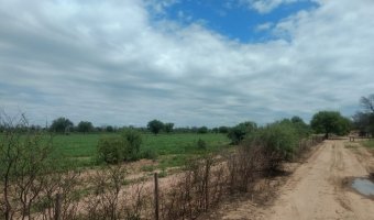3270 Ha Ganadero en Las Carpas