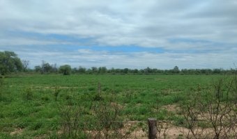 3270 Ha Ganadero en Las Carpas