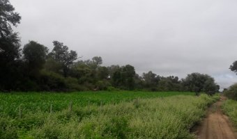 3270 Ha Ganadero en Las Carpas