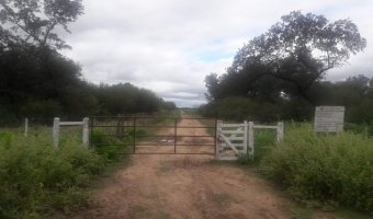 3270 Ha Ganadero en Las Carpas