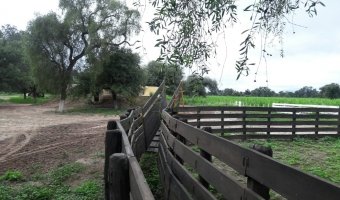 3270 Ha Ganadero en Las Carpas