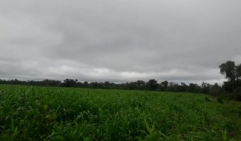 3270 Ha Ganadero en Las Carpas