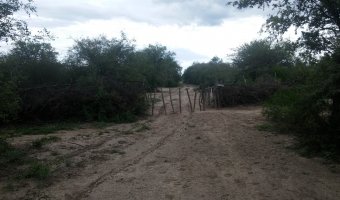 837 Ha Ganadero en Loreto