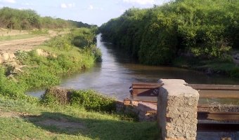 837 Ha Ganadero en Loreto