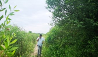 23 Ha Agrícolas en Negra Muerta