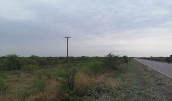 167 ha Agrícolas en La Aurora