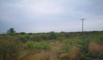 167 ha Agrícolas en La Aurora