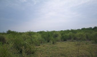 167 ha Agrícolas en La Aurora