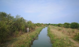 167 ha Agrícolas en La Aurora