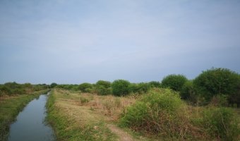 167 ha Agrícolas en La Aurora