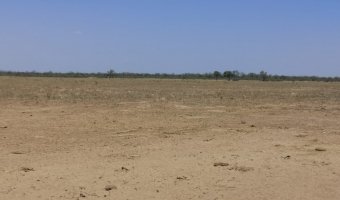 Campo Mixto en Simbol