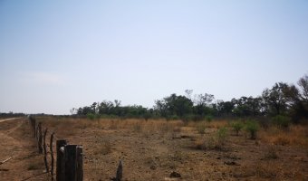 Campo Mixto en Simbol