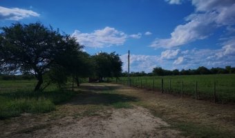 Chacra ocho Ha en Vilmer