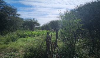 Campo Agrícola en El Charco
