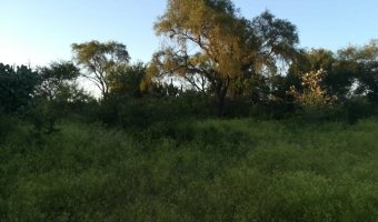 Campo Ganadero en Lugones