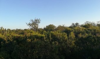 Campo Ganadero en Lugones