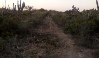 Campo Ganadero en Lugones