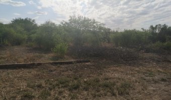 Campo Agrícola en Clodomira, Santiago del Estero