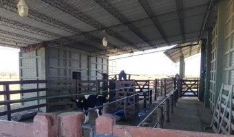 Campo Agrícola, Sunchales, Santa Fe