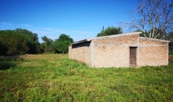 Chacra cinco Ha en El Mojón, Silipica, Santiago del Estero