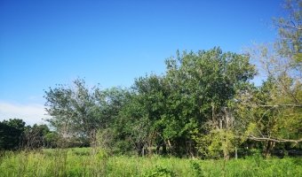 Chacra cinco Ha en El Mojón, Silipica, Santiago del Estero