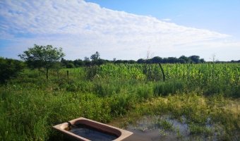 Chacra cinco Ha en El Mojón, Silipica, Santiago del Estero
