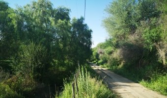 Chacra cinco Ha en El Mojón, Silipica, Santiago del Estero