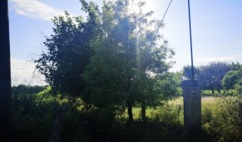 Chacra cinco Ha en El Mojón, Silipica, Santiago del Estero