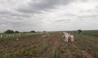 Campo Agrícola en La Aurora