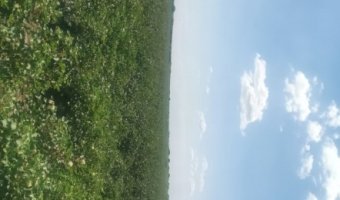 Campo Agrícola en La Aurora
