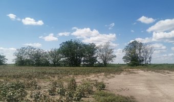 Campo Agrícola en La Aurora