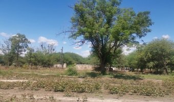 Campo Agrícola en La Aurora