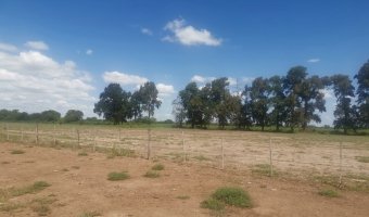 Campo Agrícola en La Aurora