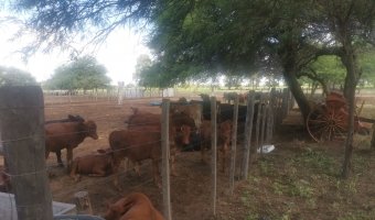 Campo Agrícola en La Aurora
