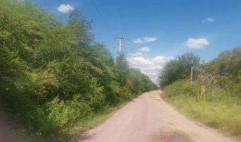 167 ha Agrícolas en La Aurora