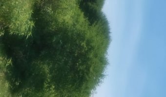 167 ha Agrícolas en La Aurora
