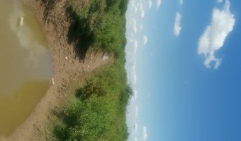 167 ha Agrícolas en La Aurora