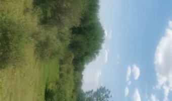 167 ha Agrícolas en La Aurora