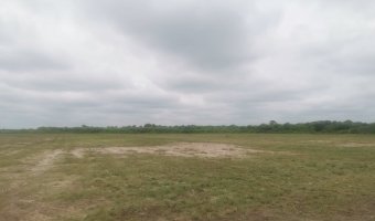 Chacra ocho Ha en Vilmer