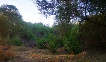 Terreno de 34x66,5 metros Vuelta de la Barranca, Santiago del Estero