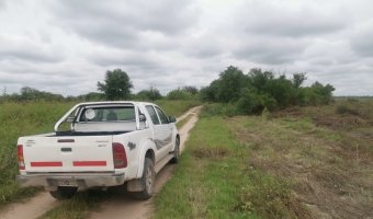 Canje de 330 Ha Agrícolas por Campo Ganadero