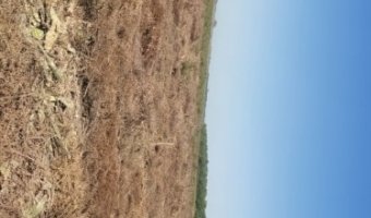 Canje de 330 Ha Agrícolas por Campo Ganadero