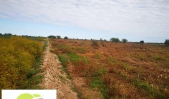 Canje de 330 Ha Agrícolas por Campo Ganadero